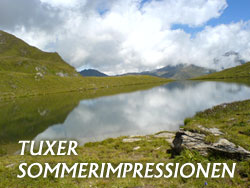 sommerimpressionen_index